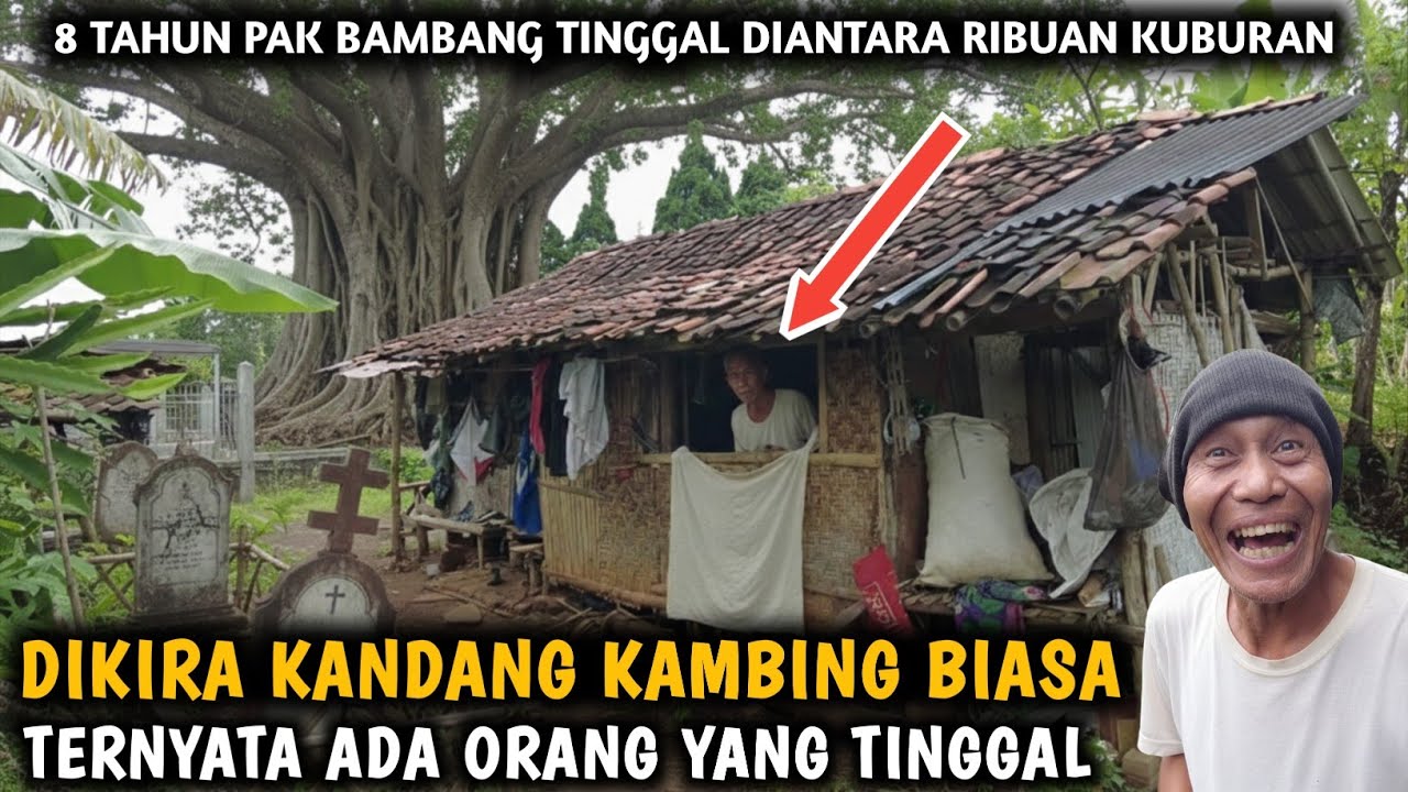 KAGET‼️DIKIRA KANDANG KAMBING TERNYATA ADA YANG TINGGAL