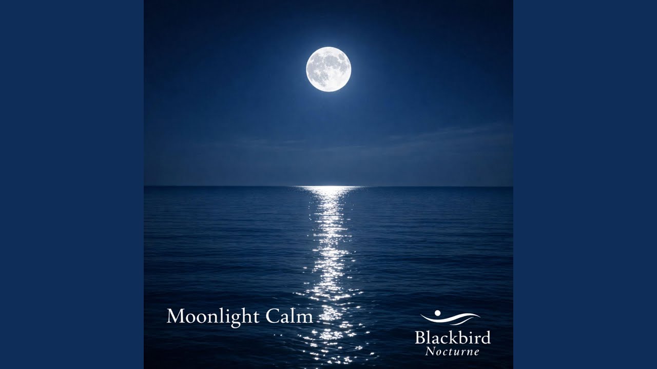Moonlight Calm