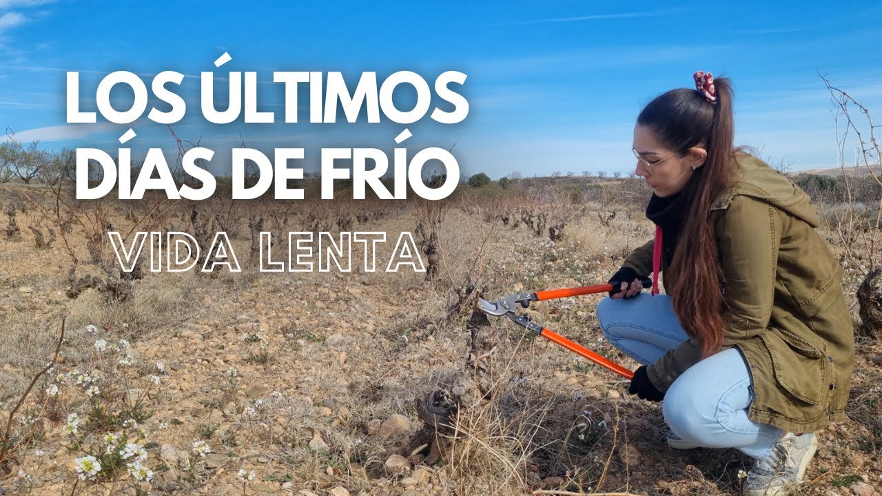 Fr&iacute;o, campo y autosuficiencia | Tareas de finales de invierno en la huerta, los cultivos y la casa
