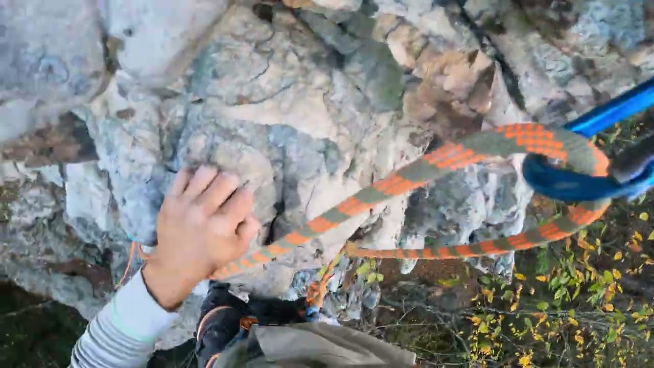 Moonwalk 5.6 : Beta Video