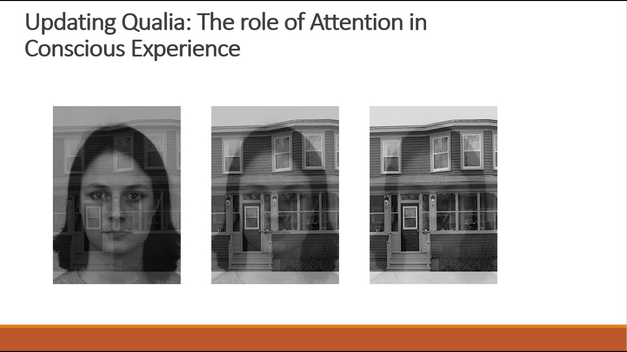 Updating Qualia : The role of Attention in Conscious Perception