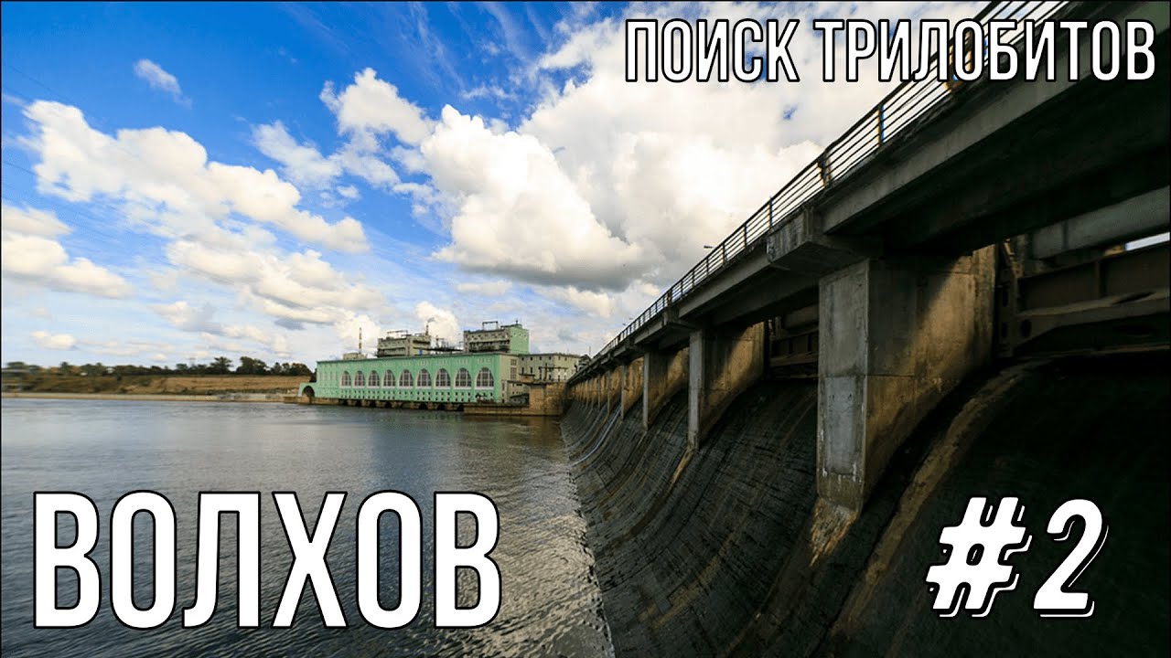 Поиск трилобитов река Волхов #2 /Searching for Trilobites #2