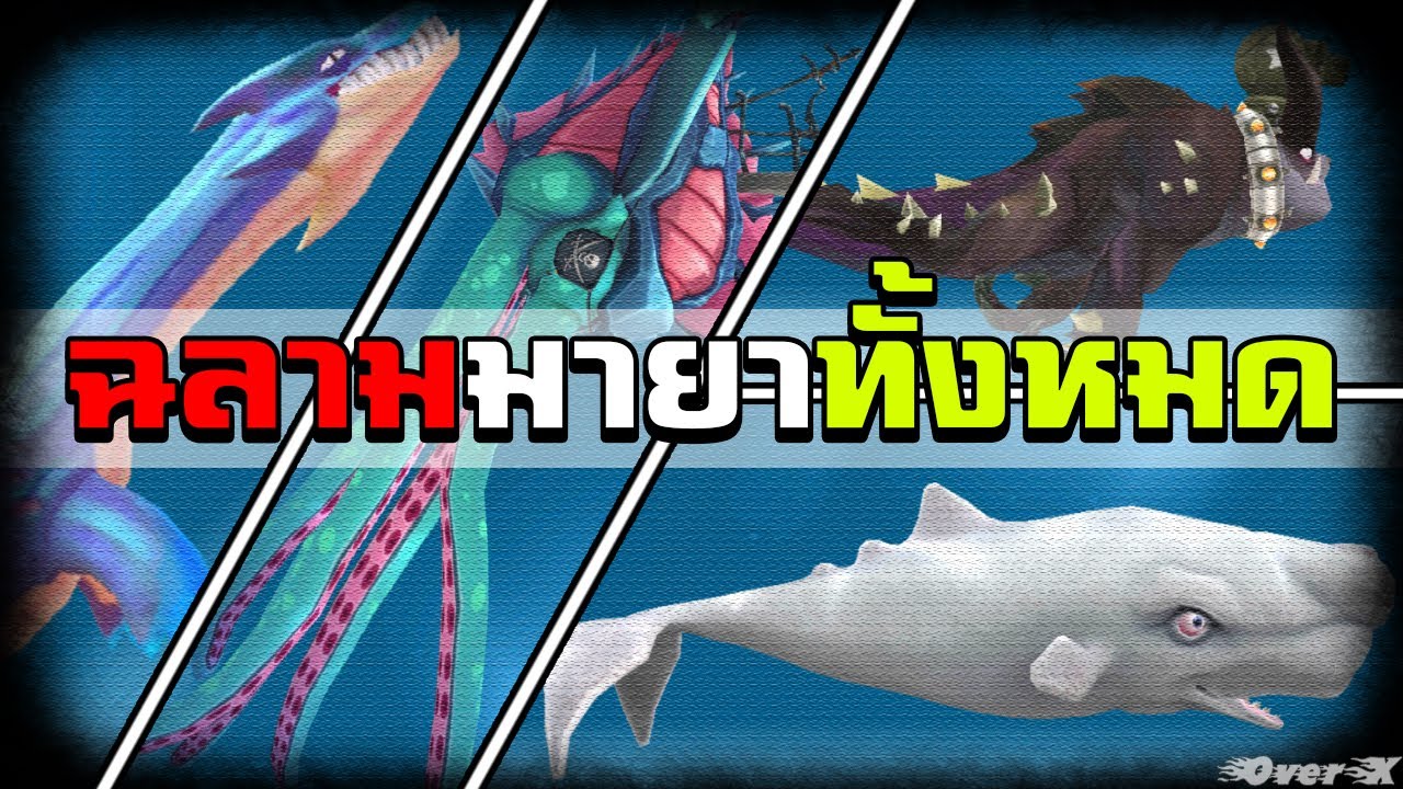 Hungry Shark - ฉลามระดับมายาทั้งหมด | Ep.6