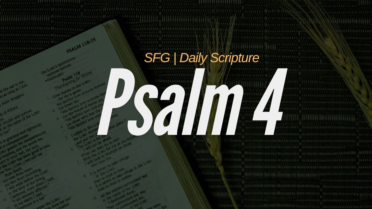 Psalm 4 | Peace in the Night | SFG Daily Scripture