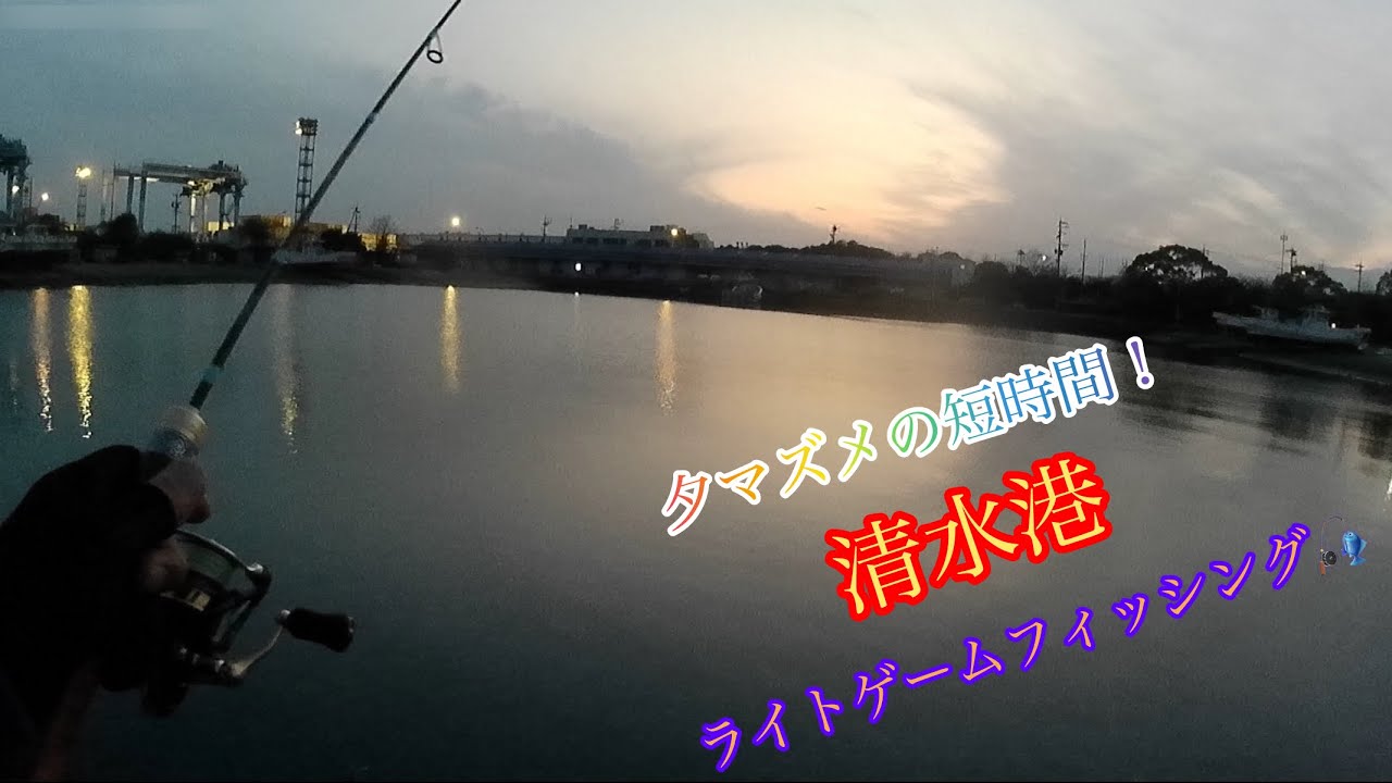 【ライトゲーム】仕事帰りの短時間に1本でも釣りたい‼️真冬の清水港堤防ライトゲームフィッシング🎣