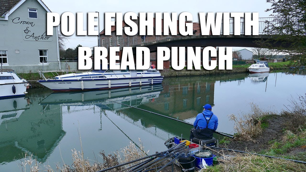 Pole Fishing with Bread Punch - River Hull