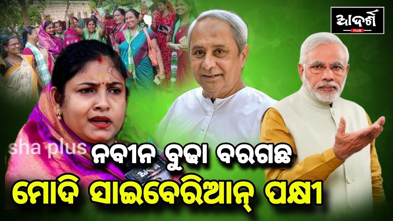 ନବୀନ ବୁଢାବରଗଛ, ମୋଦି ସାଇବେରିଆନ୍ ପକ୍ଷୀ || Lipsha Pradhan || BJD Election Campaign || Kamakhyanagar