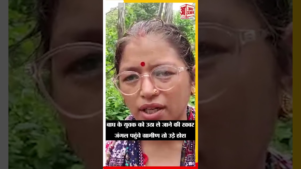 Haldwani: बाघ के युवक को उठा ले जाने की खबर, जंगल पहुंचे ग्रामीण तो उड़े होश | Amar Ujala