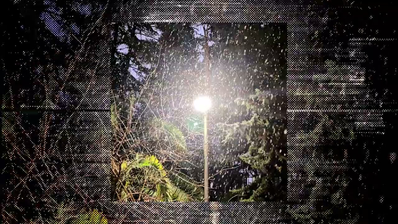 ⋆FREE⋆ tewiq X digicore X experimental - 