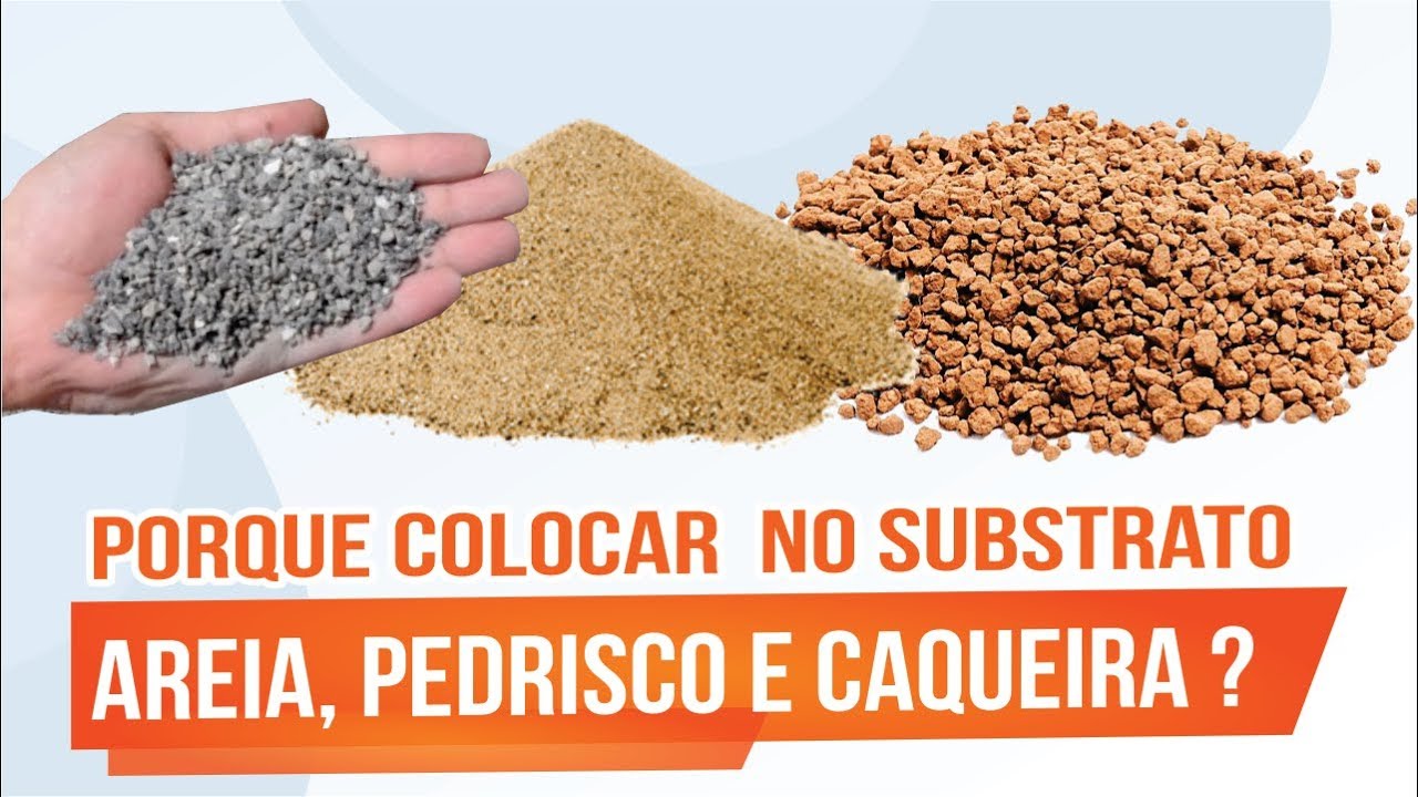 POR QUE USAR AREIA, PEDRISCO E CAQUEIRA NO SUBSTRATO DO BONSAI