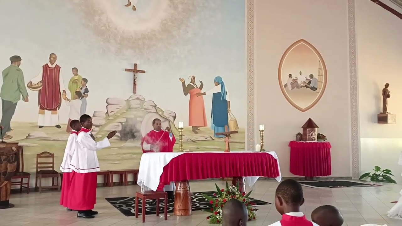 Beautiful singing #catholic #zambia #faith #hope #liturgy #frchandan 