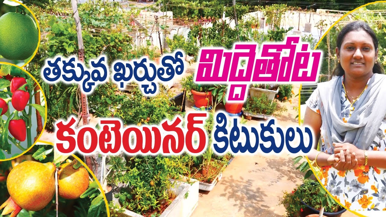 Container tricks for terrace garden || Shanti - dheeraj || Hyderabad || Rytunestham