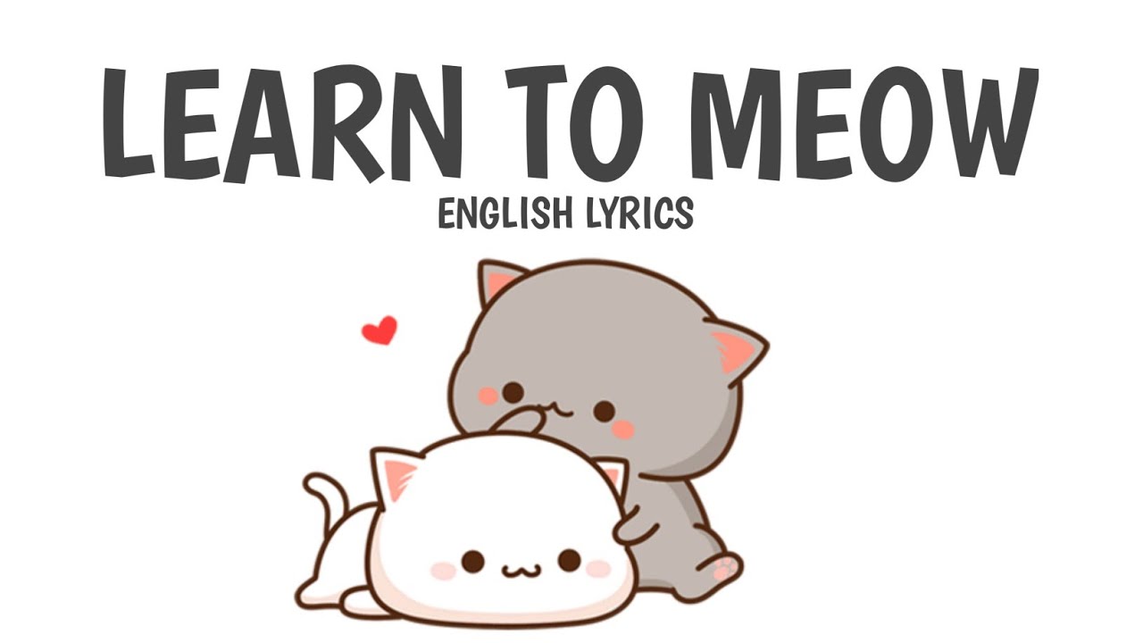 Learn to Meow | English Lyrics