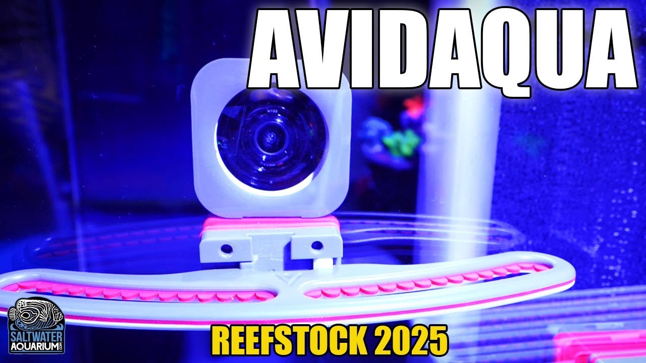AVIDAQUA Frag Racks, Probe Holders, Travel Systems, & MORE! - Reefstock Denver 2025