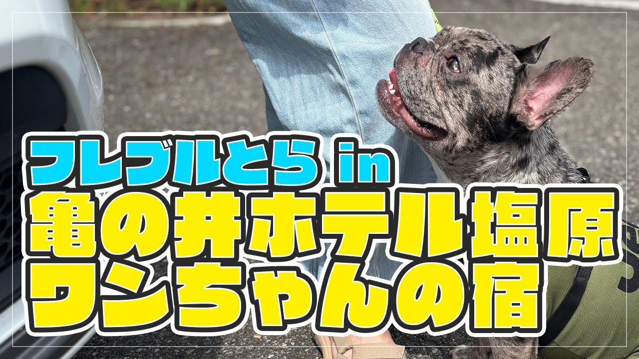 【ワンちゃんと泊まれる宿】亀の井ホテル 塩原 ワンちゃんの宿にお泊まりしてきました