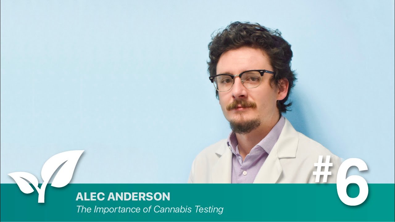 #6 The Importance of Cannabis Testing By: Alec Anderson