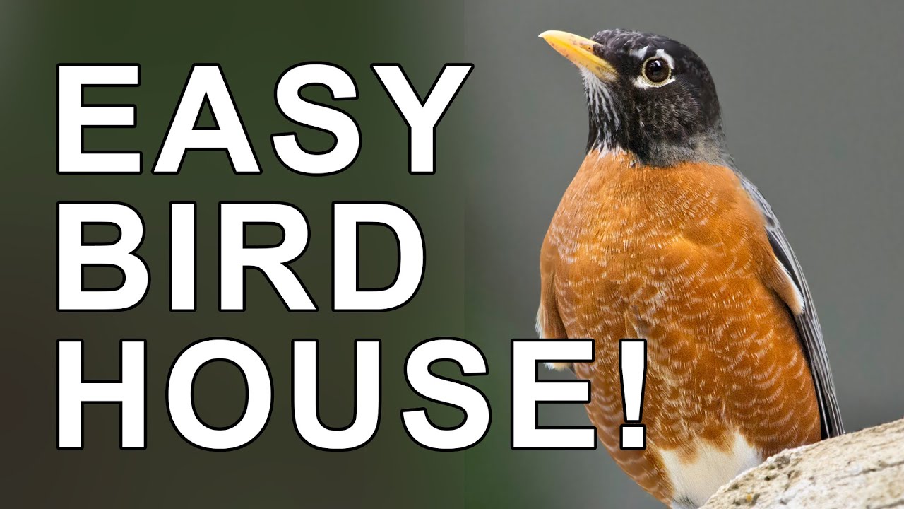 The Easiest Birdhouse You Can Build - The Ledge Nest Bird House