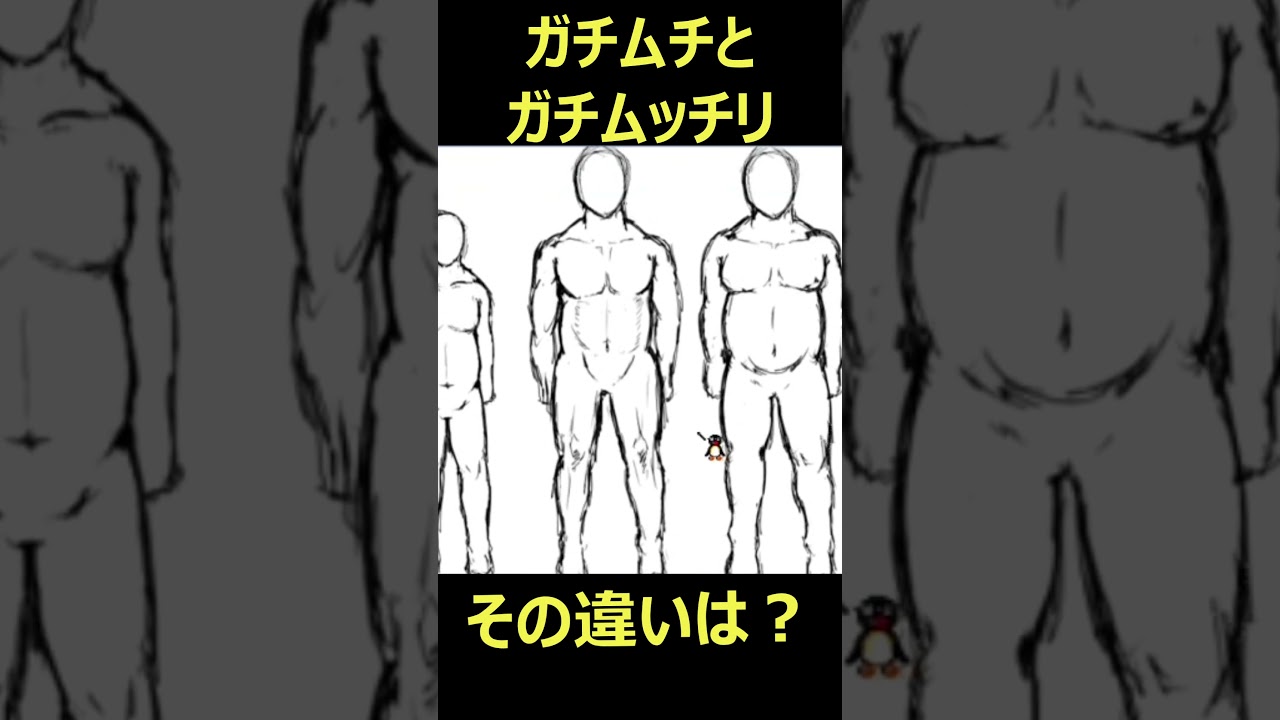知らなかった違いを暴露！ガチムチとガチムッチリの真実 #shorts#ガチムチ#ガチむっちり#身体表現#北島孝介#セリフ#筋肉質#丸みを帯びた体型#文化的背景#性的指向#ガチホモ#身体