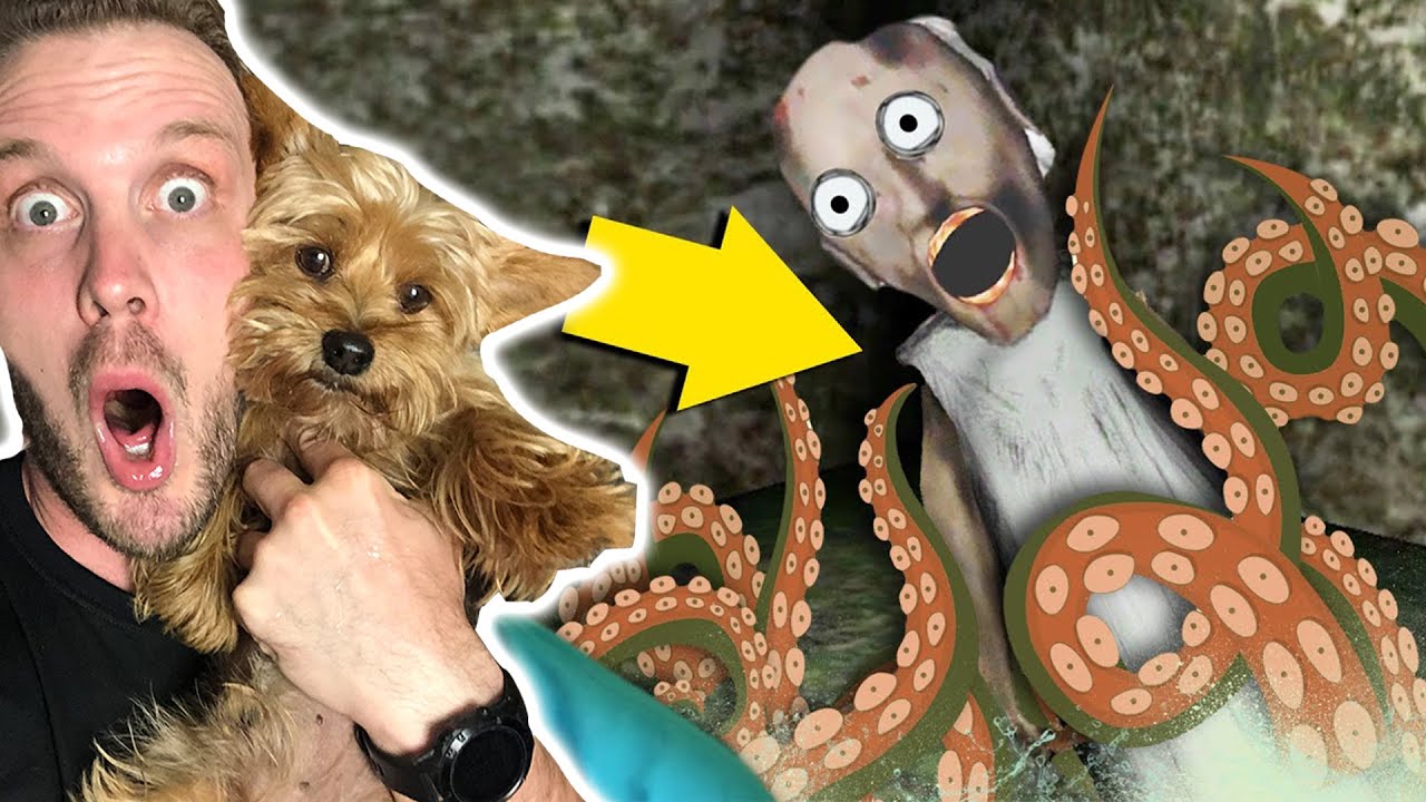 DA LI MOŽEMO NAHRANITI LUDU BABU NJENOJ ŽIVOTINJI KRAKENU? - Granny Chapter 2 Igrica