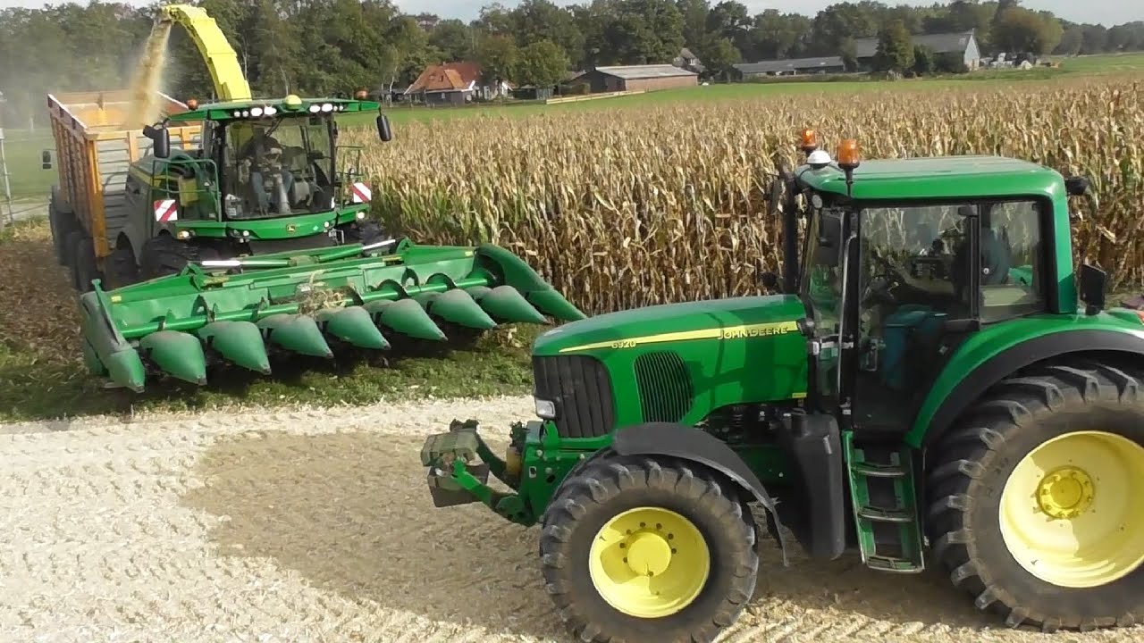 Freriks corn cob
