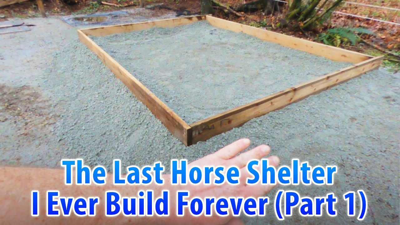 The Last Horse Shelter I Ever Build Forever (Part 1)