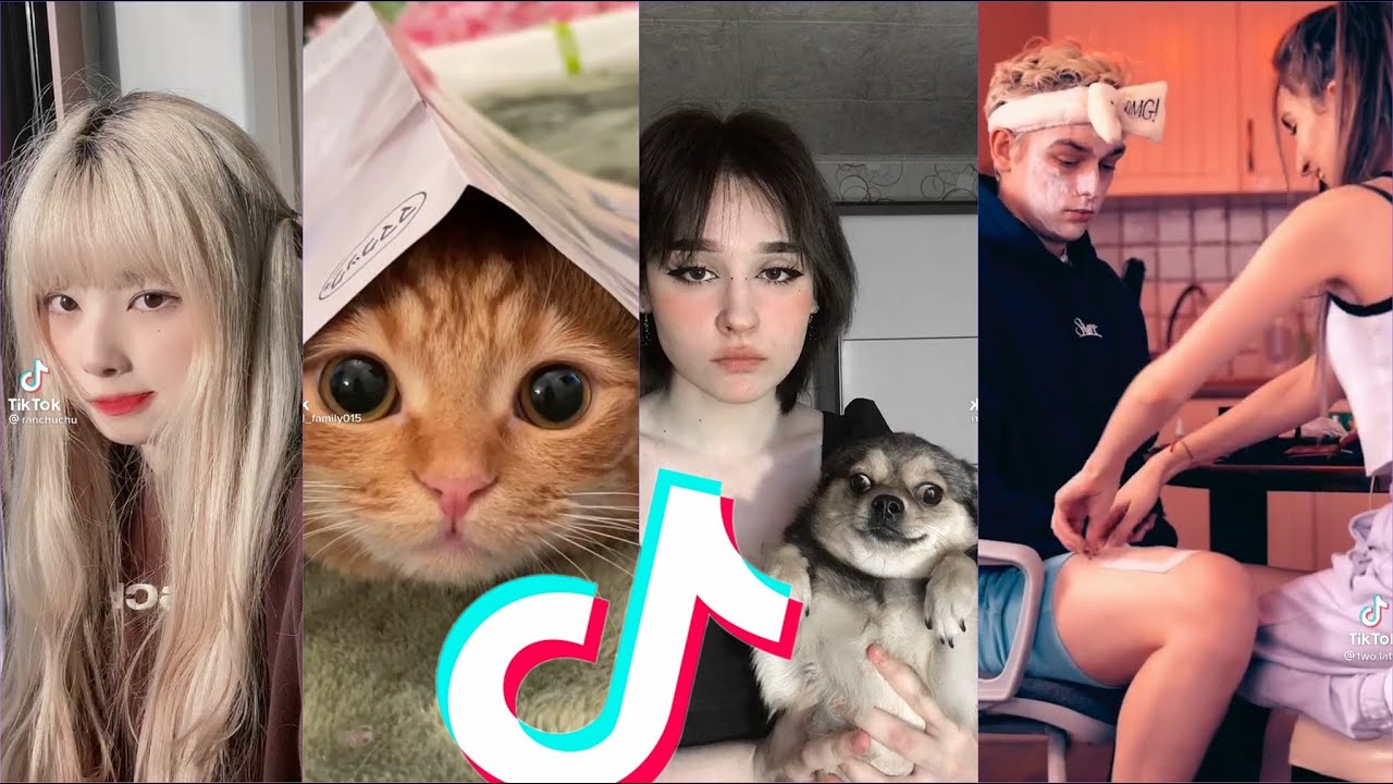Tiktok cute anime song ( Nyanpasu remix )