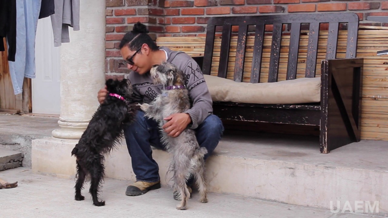Biodigestores con Heces de Perro