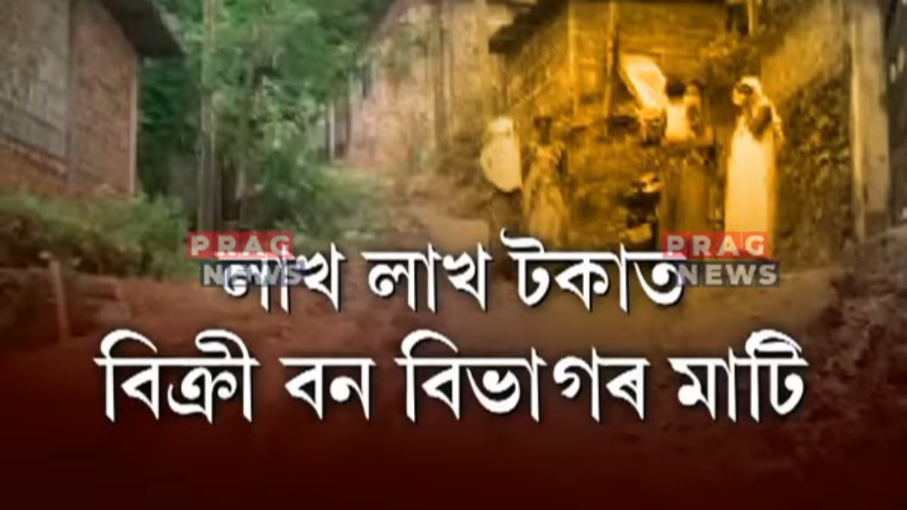 Encroachment of Assam's forest lands continue!!!