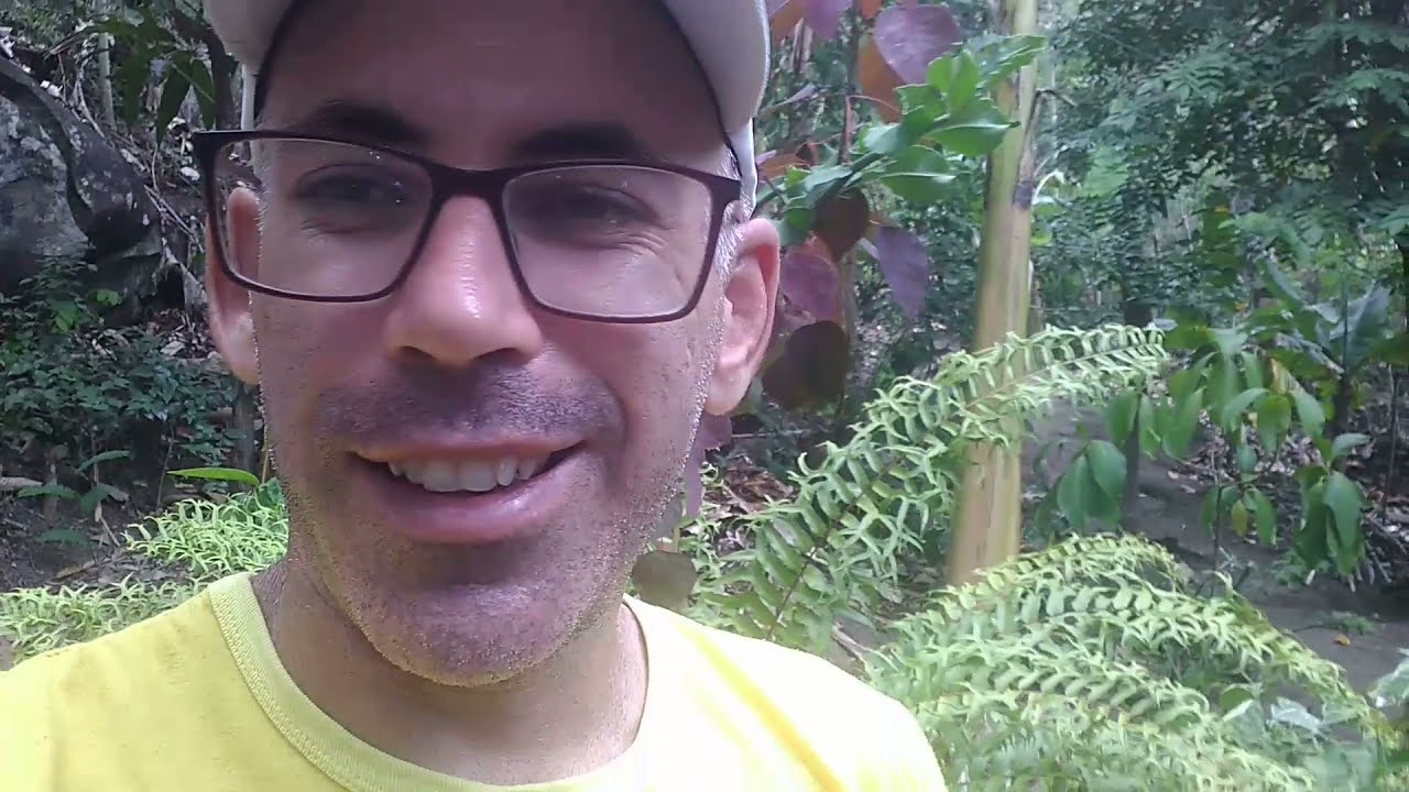Um dia no sítio e comendo raiz de flor.