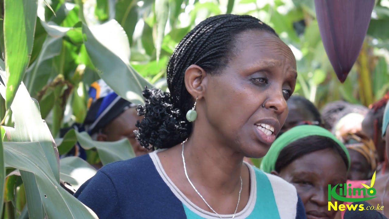 AGRA President Agnes Kalibata talks on supporting maize farmers in Kiambu, Kenya