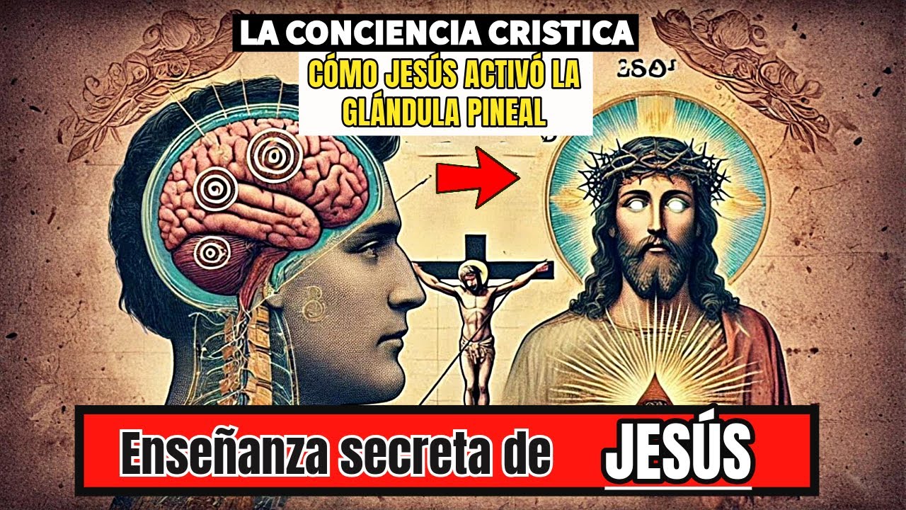 La Conciencia Cr&iacute;stica: C&oacute;mo Jes&uacute;s activ&oacute; la gl&aacute;ndula pineal y el despertar de la Kundalini