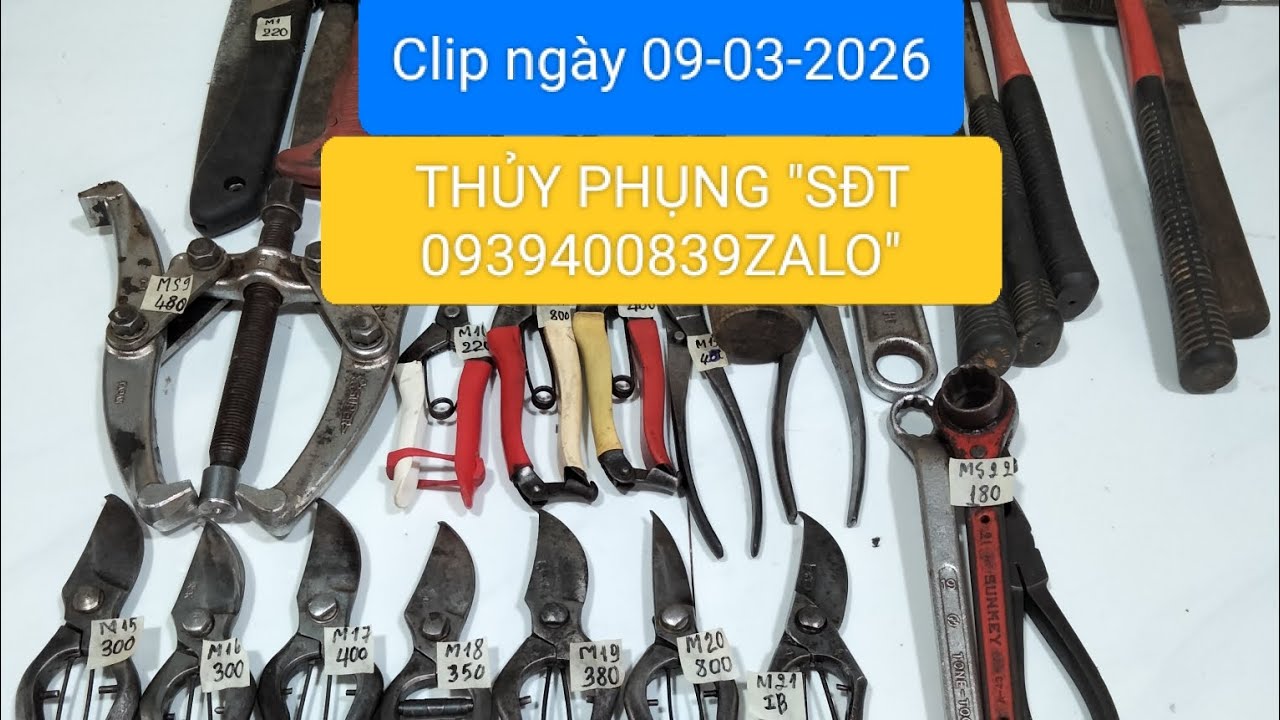 Clip ngày 09-03-2026 THỦY PHỤNG HÀNG BÃI NHẬT giao lưu với cô chú anh chị 