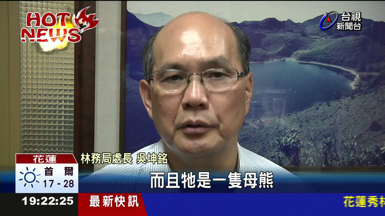 悲!捕獸夾斷左前掌台灣黑熊曝屍溪床