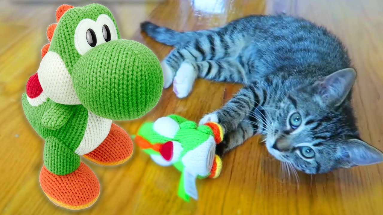 Adorable kitten plays with Yarn Yoshi amiibo