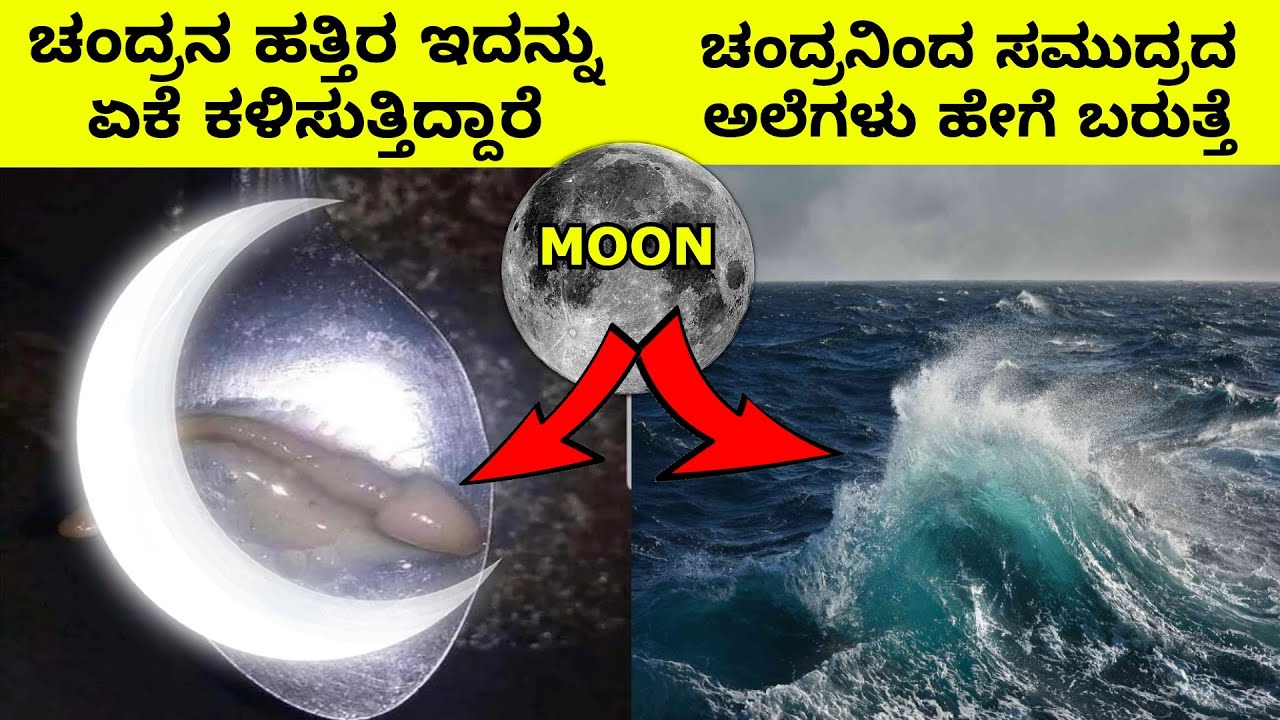 most interesting and amazing facts kannada || MOON FACTS IN KANNADA