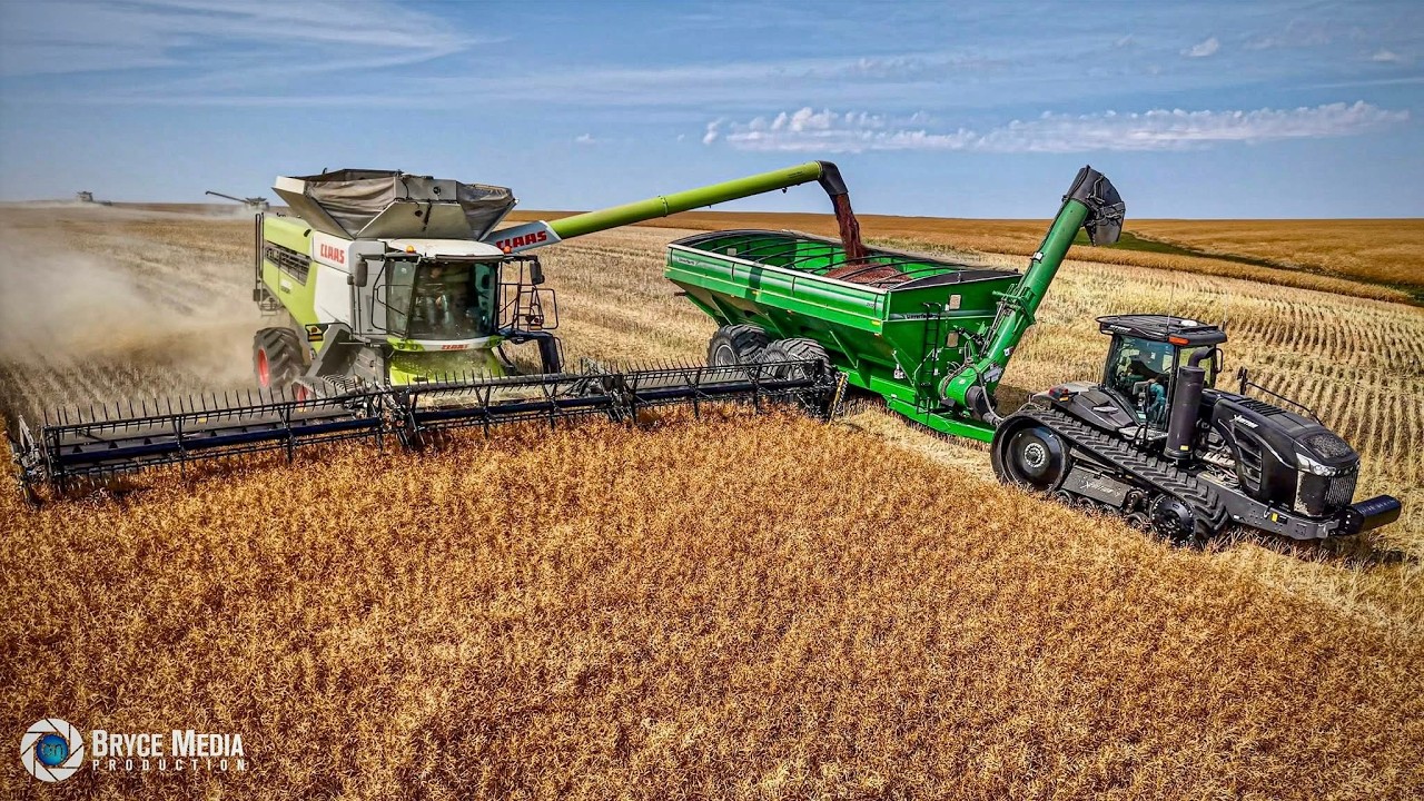 Seltene XXL-Landtechnik! 3x Claas Lexion 8600 & Schwarze Challenger X-Edition. Landwirtschaft Kanada