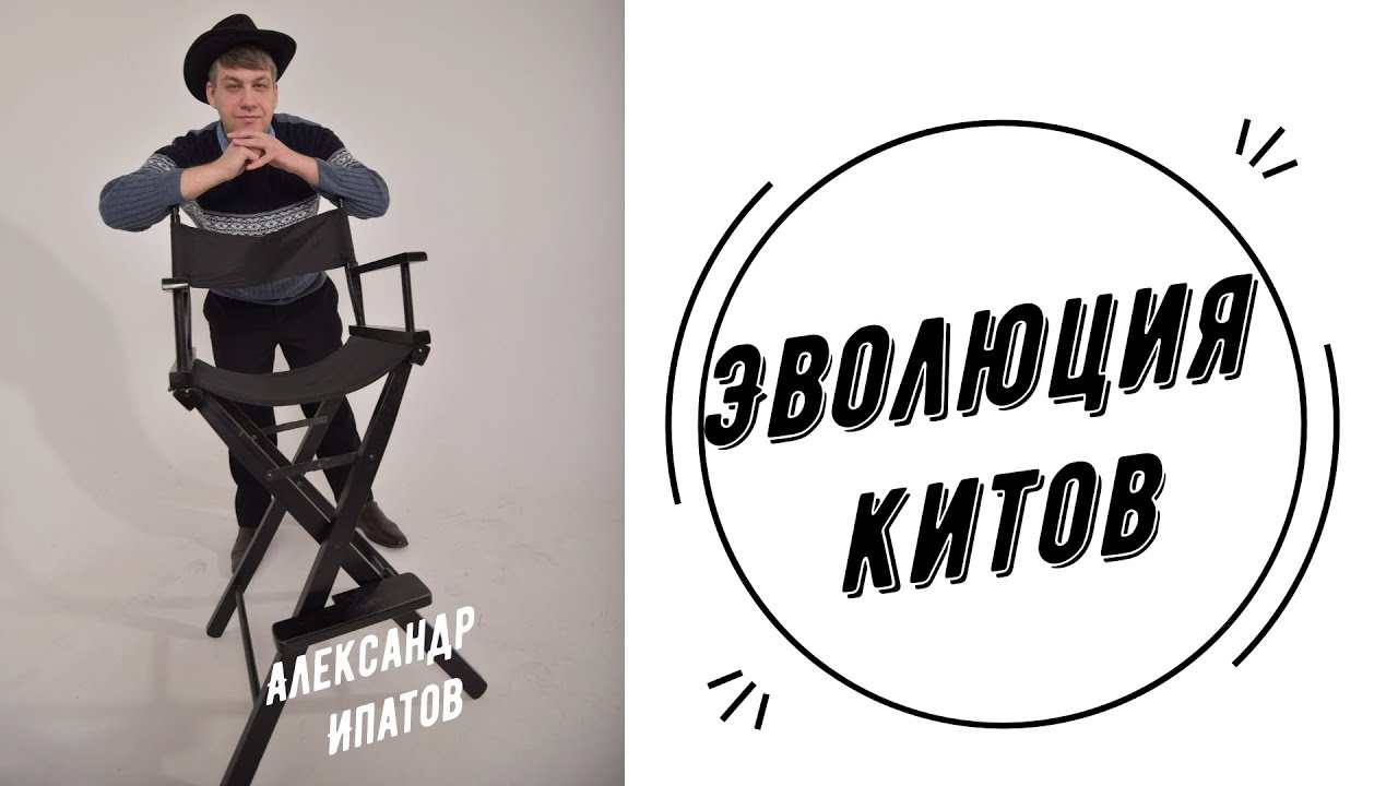 Эволюция Китов  | Александр Ипатов