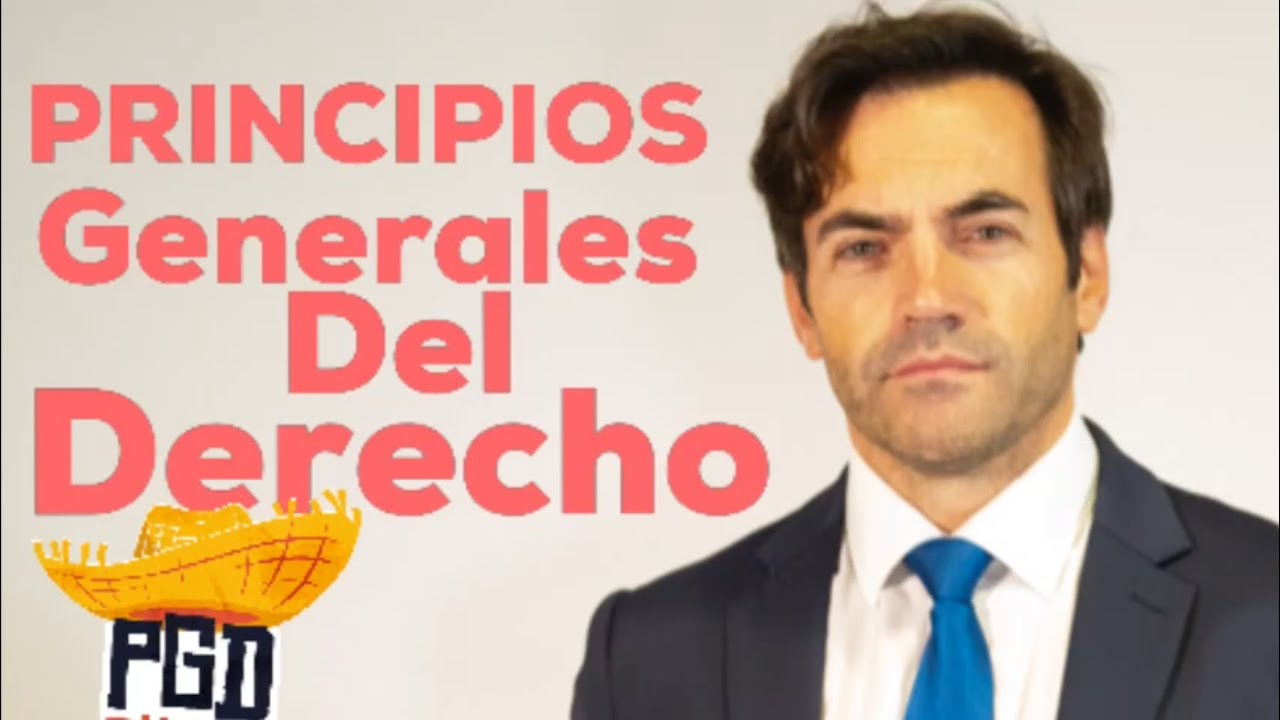 LOS PRINCIPIOS GENERALES DEL DERECHO PGD 2025