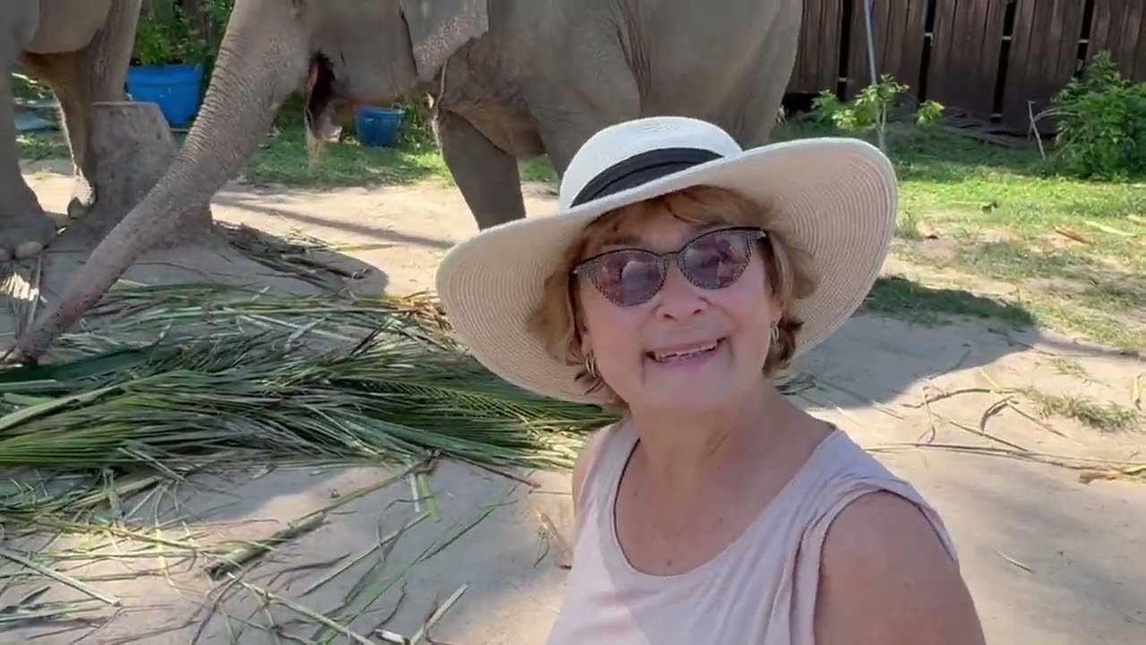 Elephant Sanctuary part -2, Thailand. ( Измерение и купание слонов)