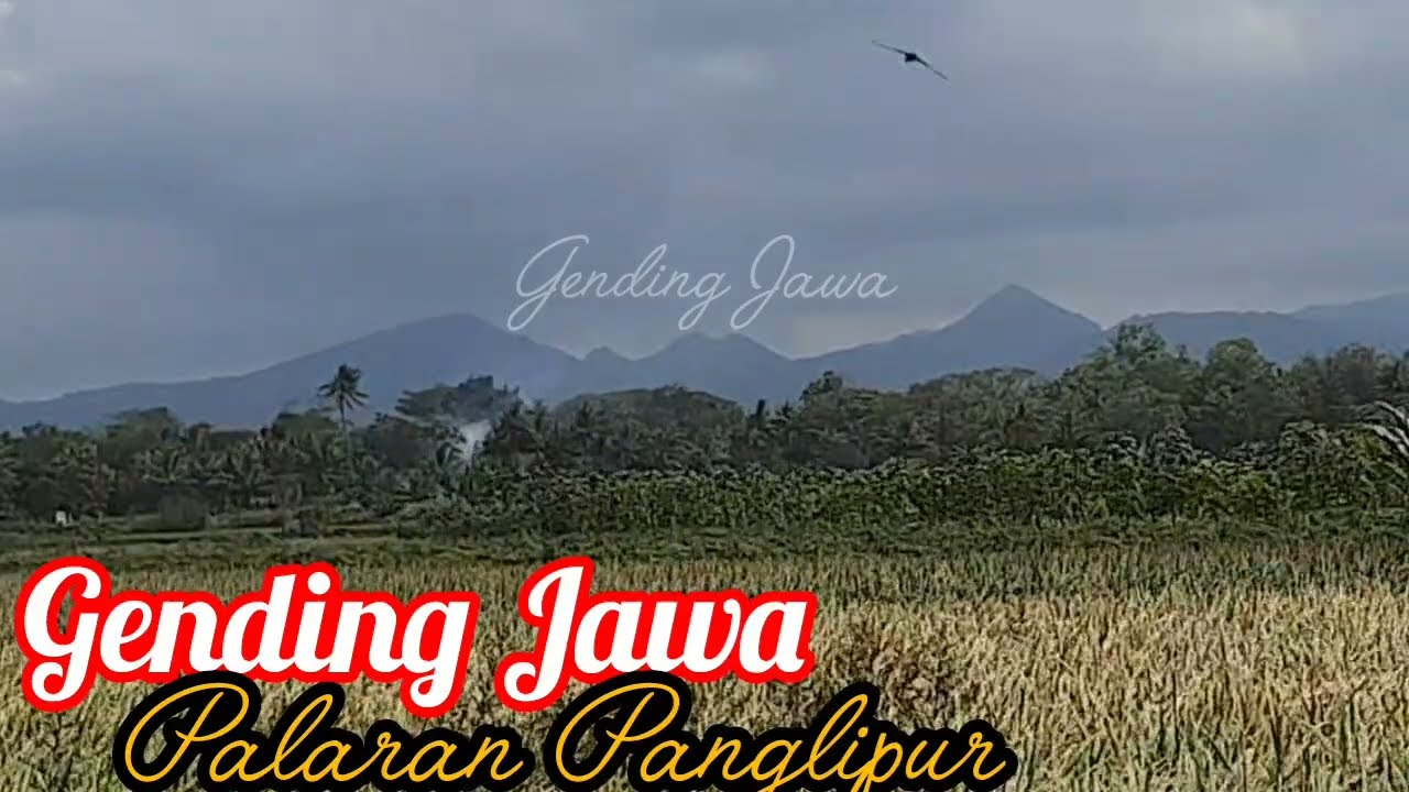 Midangetaken Gending Jawa Palaran Pangkur Panglipur 