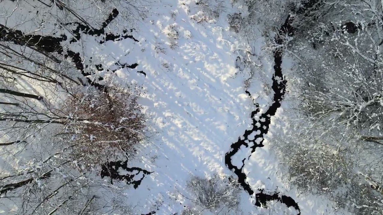 Royalty Free 4k Stock Footage - Snowy forest flowing river upward flight