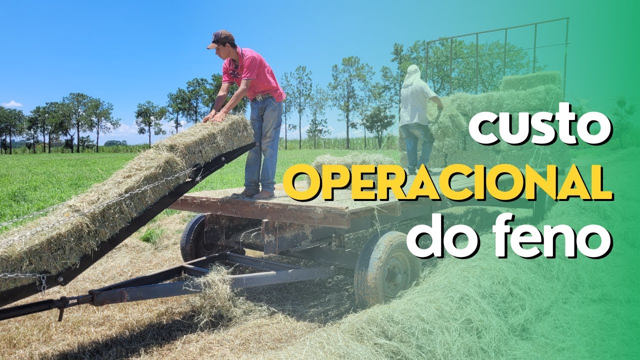 Qual o Custo Operacional da Produção de Feno? Vale a Pena? Ep#087