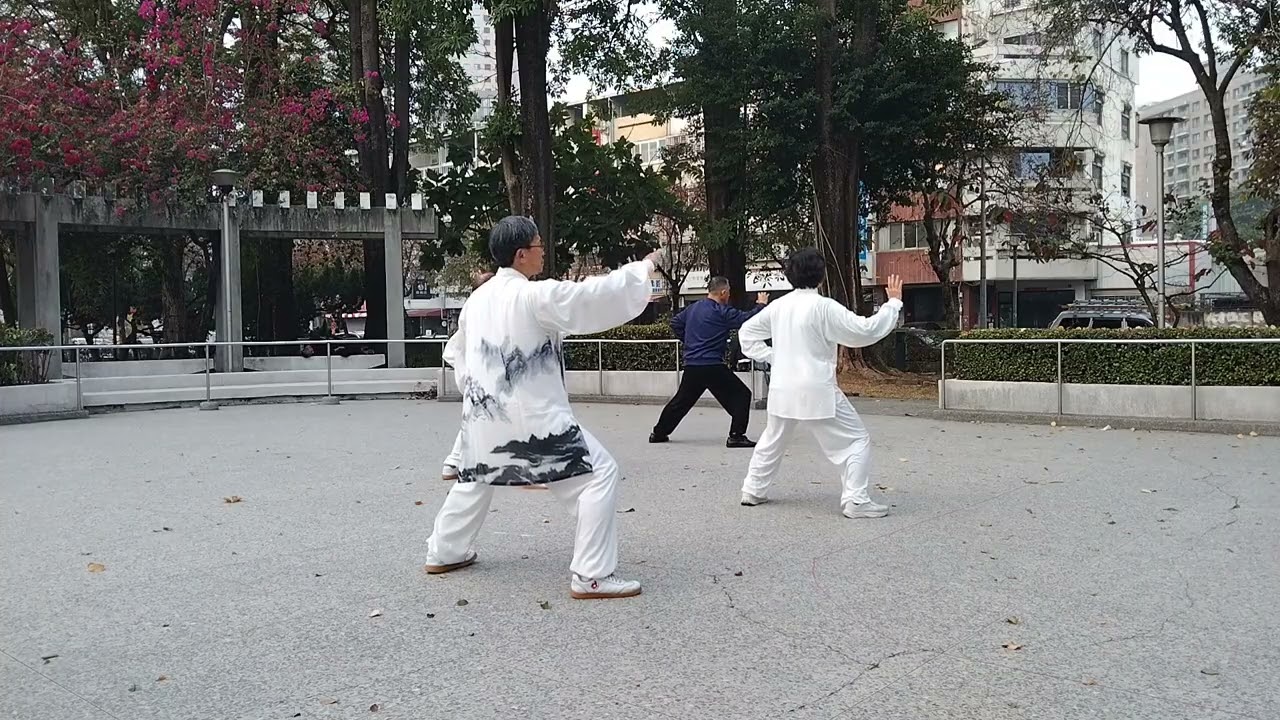 20260205六招四相演練