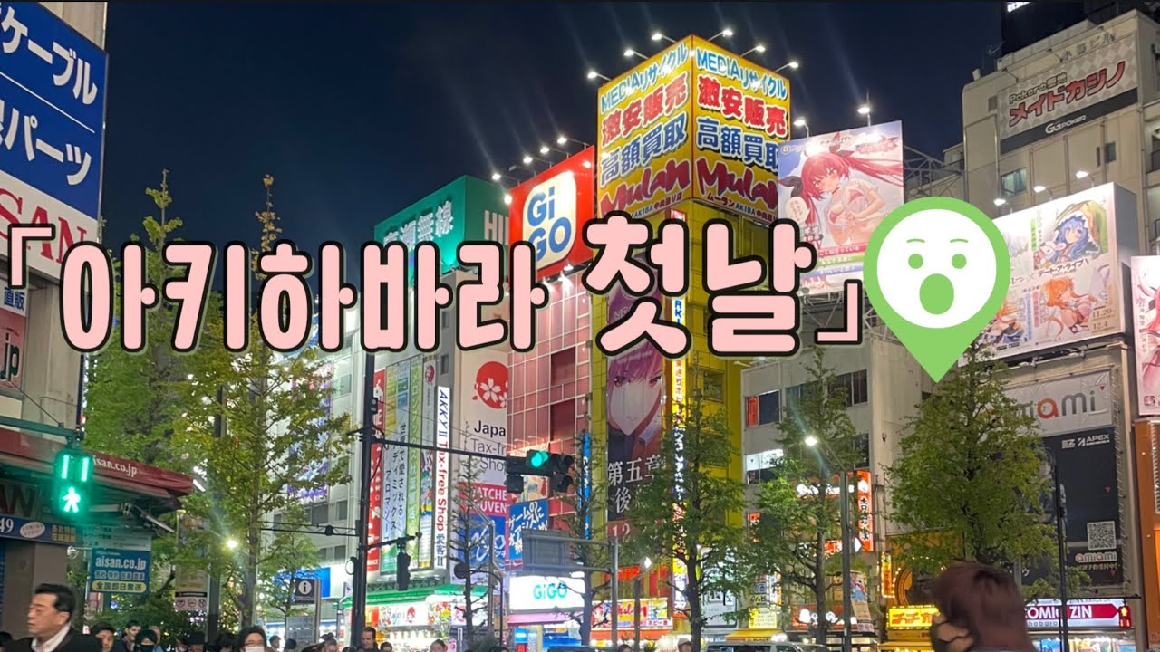 덕질 안하는 사람의 아키하바라 브이로그