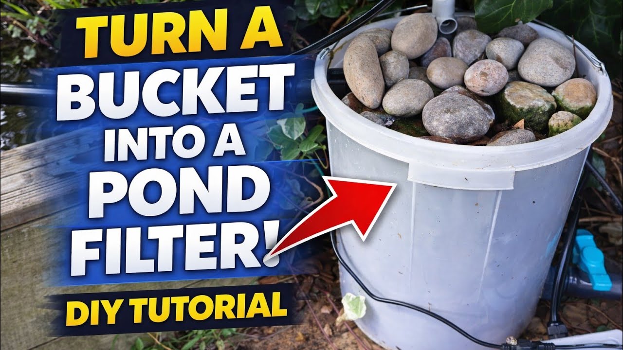 “DIY Pond Filter from a Plasterer’s Bucket (Cheap & Effective!)