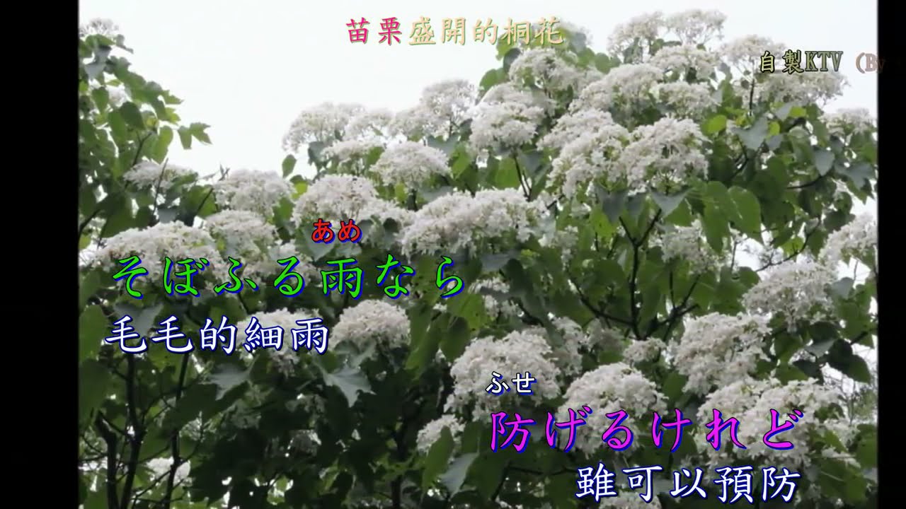 とまり木 (棲木)    小林幸子演唱