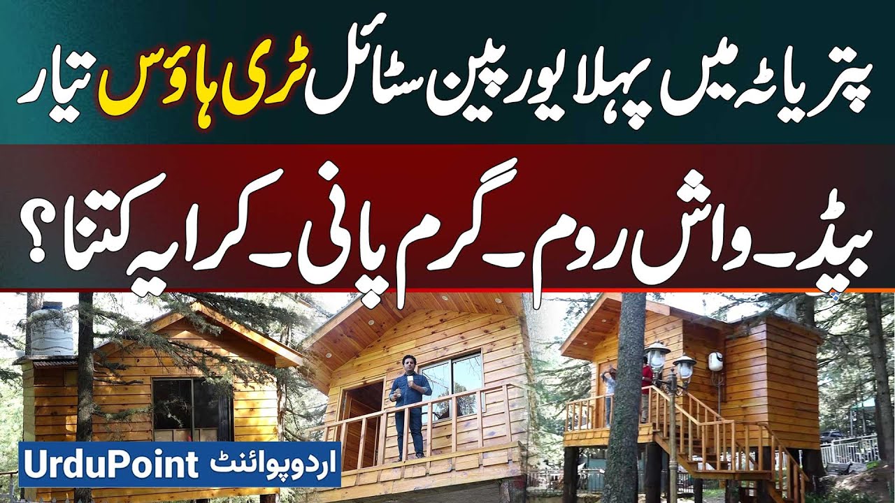 Punjab’s First European Style Tree House In Patriata - Luxury Stay With Bed, Washroom & Hot Water