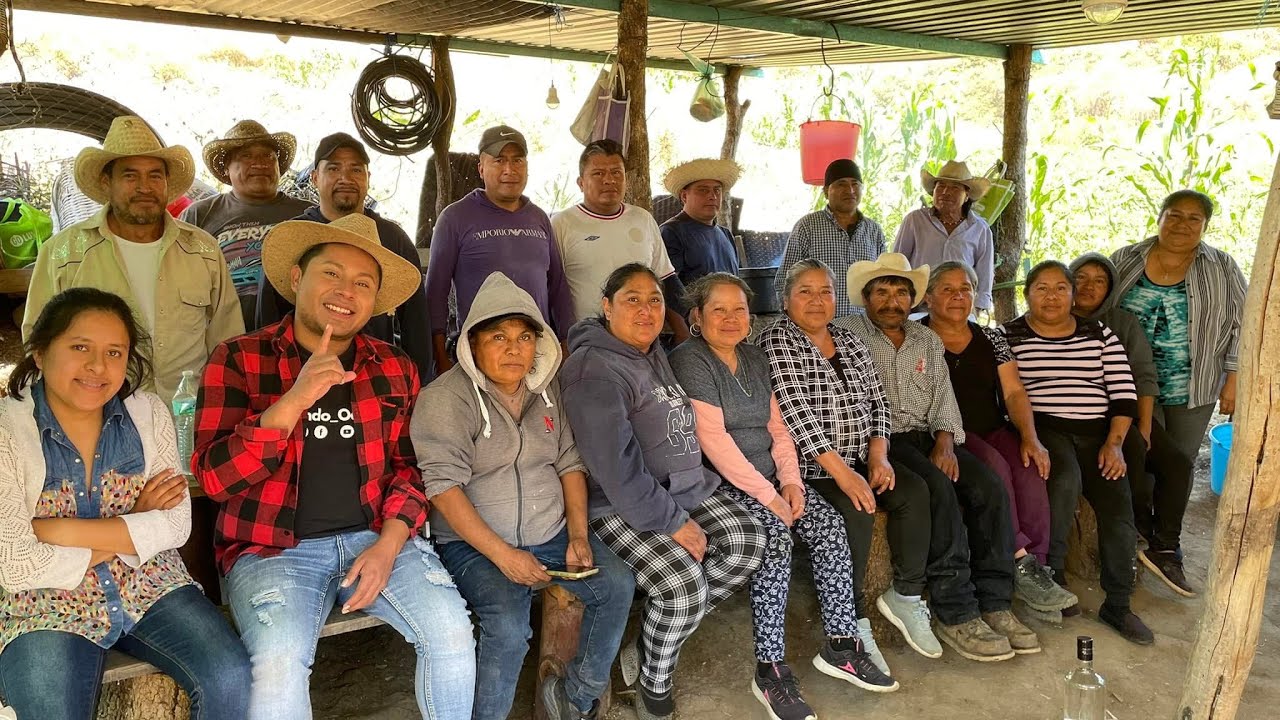 Vamos a un corte de #ChileDeAgua en San Bernardo Mixtepec 🇲🇽 #Oaxaca