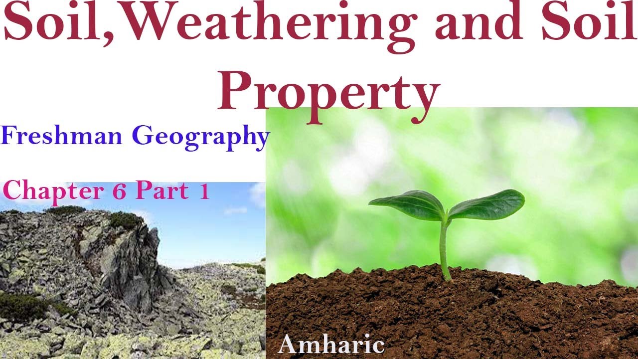 Soil and weathering: Understanding the Relationship Between Soil Weathering and Soil Properties