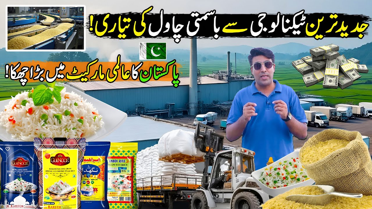 New Record of Pakistan | Modern Rice Agriculture Technology | How Tons of Rice Harvested & Processed